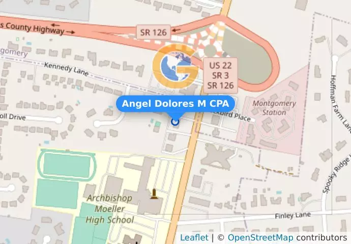 Angel Dolores M CPA