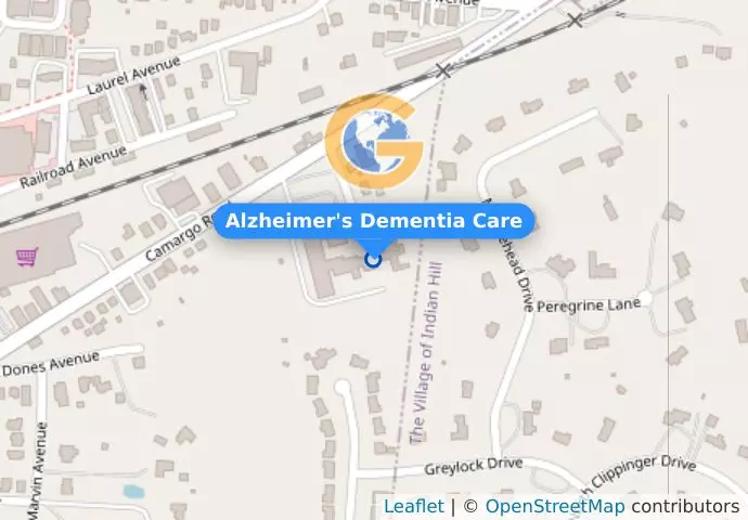 Alzheimer's Dementia Care