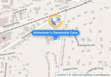 Alzheimer's Dementia Care