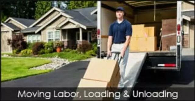 All the Kings Men Moving Experts