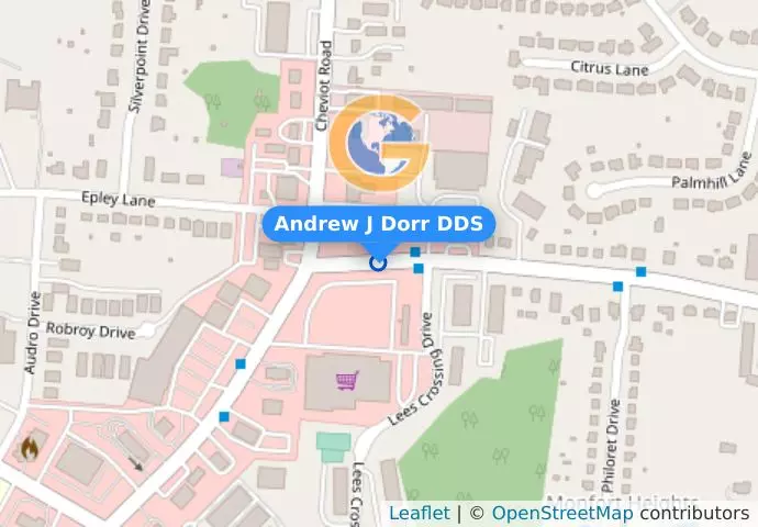 Andrew J Dorr DDS