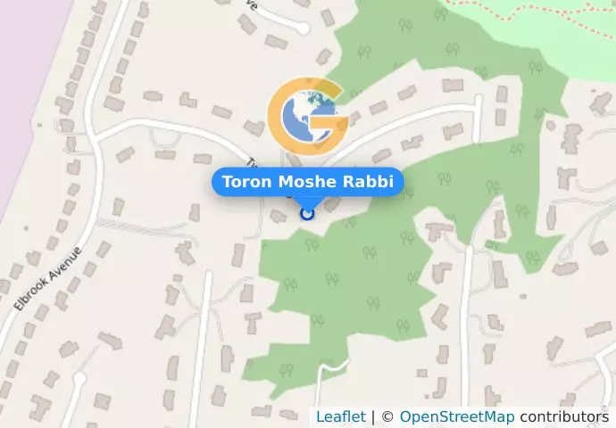Toron Moshe Rabbi