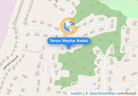 Toron Moshe Rabbi