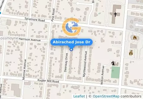 Abirached Jose Dr
